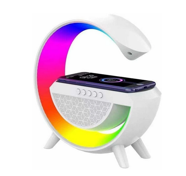 Google SPEAKER