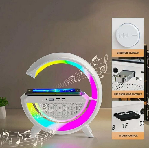 Google SPEAKER
