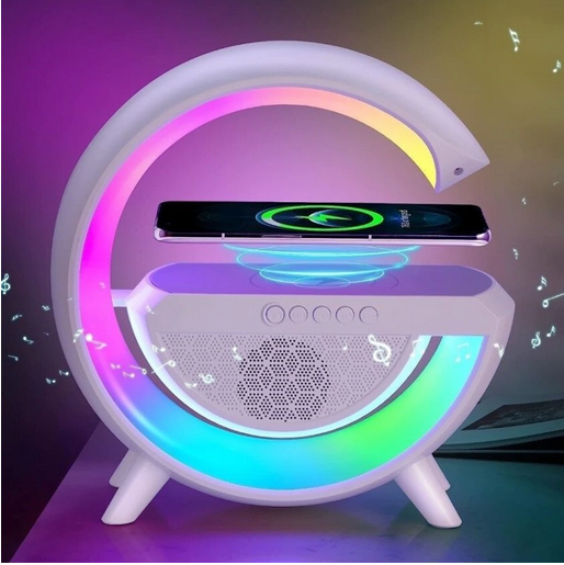 Google SPEAKER